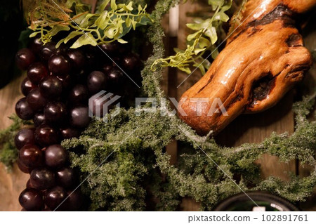 葡萄和樹 102891761