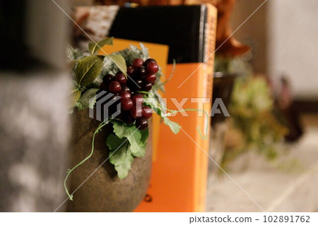 Orange and grapes 102891762