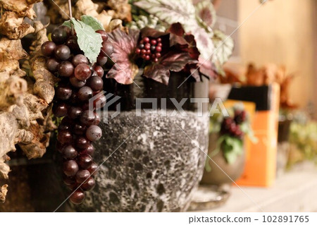 灰色和葡萄 102891765