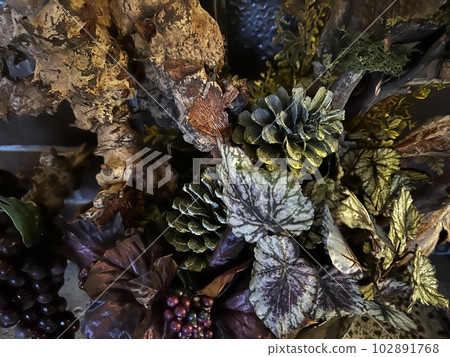 pine cones and leaves 102891768