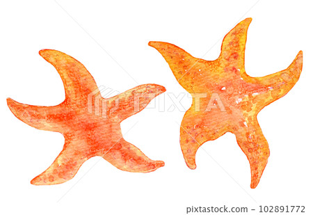 紅色海星水彩插圖手繪插圖 102891772