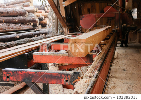 Wood processing at a sawmill. Preparation of logs for production. Timber industry 102892013