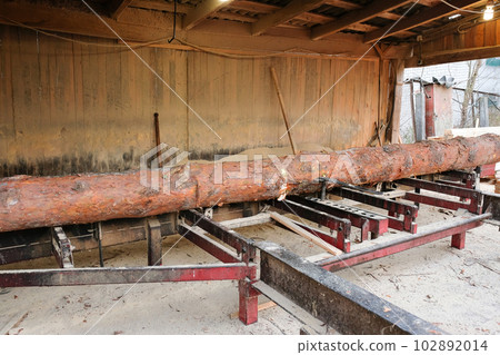 Sawmill. Sorting and processing of round logs on sawmill equipment. 102892014