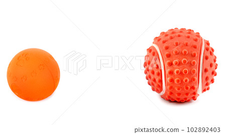 Set of balls, toys for dogs isolated on white . Wide photo. There is space for text. Set of balls, toys for dogs isolated on white . Wide photo. There is space for text. 102892403
