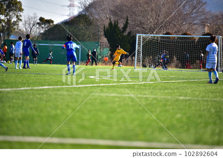 小學足球，比賽，守門員，草坪 102892604