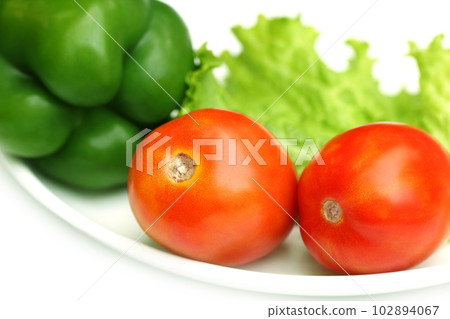 Fresh Salad vegetables 102894067