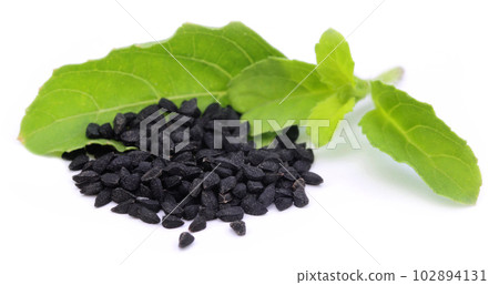 Nigella with medicinal tulsi leaves 102894131