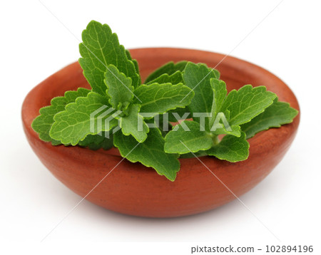 Stevia on a brown bowl Stevia on a brown bowl 102894196