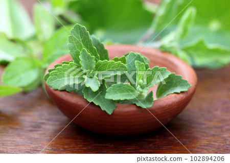 Stevia on a brown bowl Stevia on a brown bowl 102894206