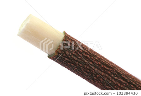 Medicinal neem twigs Medicinal neem twigs 102894430