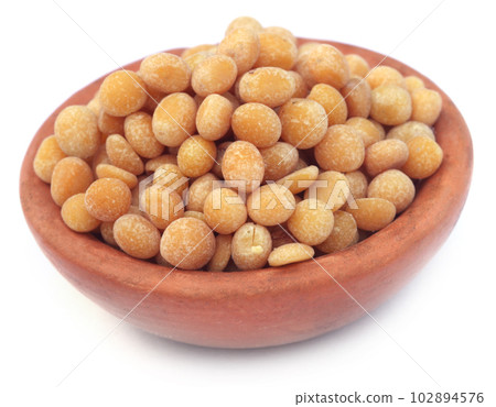 Pigeon pea 102894576