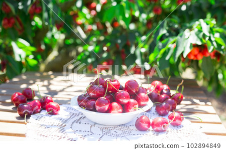 cherries on a wooden table cherries on a wooden table 102894849