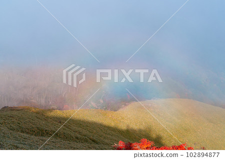 德島縣三好市仲町治入宮出現斷岩現象 102894877