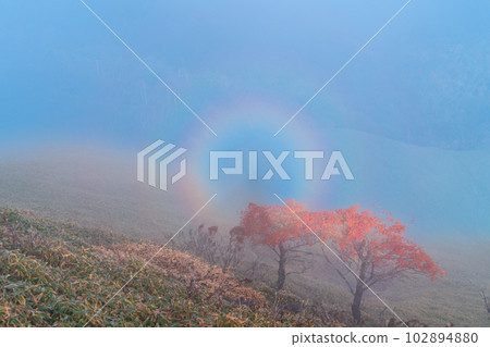 德島縣三好市仲町地入宮3號的斷岩現象和紅葉 德島縣三好市仲町地入宮3號的斷岩現象和紅葉 102894880