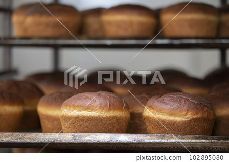 Industrial production of bread. Lots of baked goods on pallets. Freshly baked bun. Bakery Industrial production of bread. Lots of baked goods on pallets. Freshly baked bun. Bakery 102895080