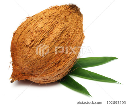Fresh coconut with leaves 102895203