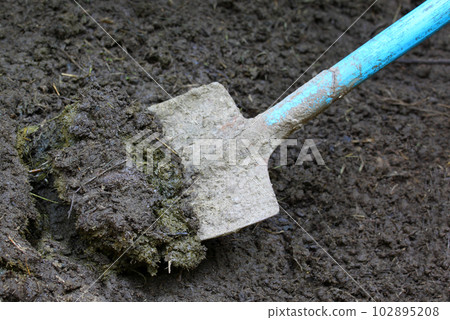 Manure with spade 102895208