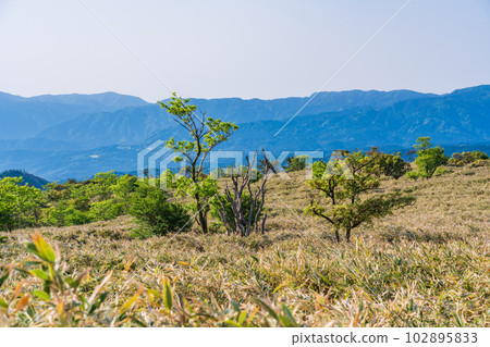 (靜岡縣)西伊豆天際線,富士山南側的景色 (靜岡縣)西伊豆天際線,富士山南側的景色 102895833