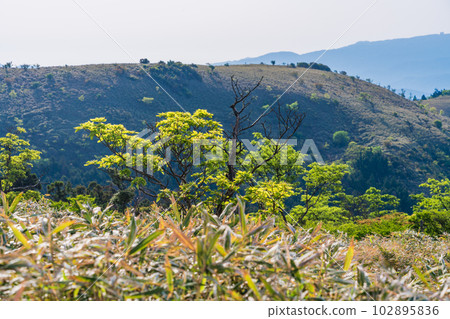 （靜岡縣）西伊豆天際線，富士山南側的景色 102895836