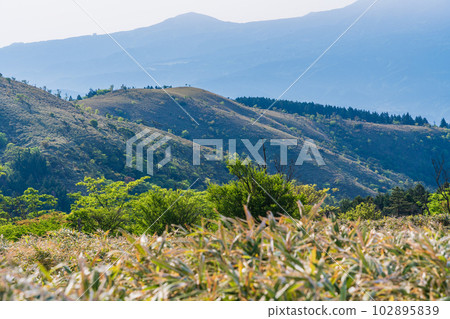 (靜岡縣)西伊豆天際線,富士山南側的景色 (靜岡縣)西伊豆天際線,富士山南側的景色 102895839