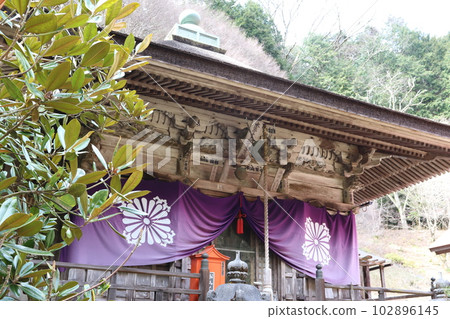 兵庫縣丹波筱山市的“龍造寺” 兵庫縣丹波筱山市的“龍造寺” 102896145