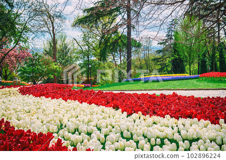 Emirgan Park, Istanbul Emirgan Park, Istanbul 102896224