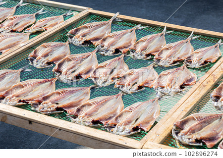 竹莢魚曬乾 102896274