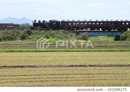 以筑波山為背景的真岡鐵道“發芽田和SL真岡” 102896275