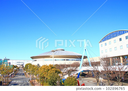 Scenery of Nagoya City General Gymnasium, Japan Gaishi Hall 102896765