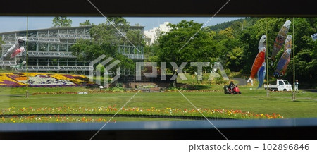 Botanical landscape. 102896846