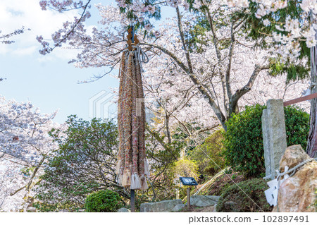 Takeo Shrine Marunouchi 102897491