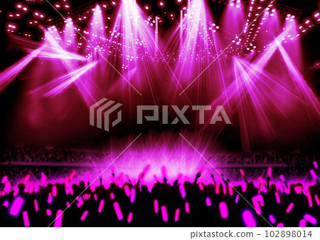 Live Stadium Venue and Audience 102898014