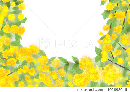 Yamabuki flower frame 3 102898046