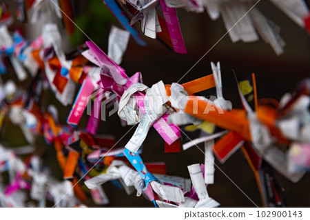Omikuji tied at the bill office at Tomioka Hachimangu Shrine Omikuji tied at the bill office at Tomioka Hachimangu Shrine 102900143
