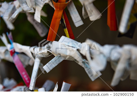 Omikuji tied at the bill office at Tomioka Hachimangu Shrine Omikuji tied at the bill office at Tomioka Hachimangu Shrine 102900150