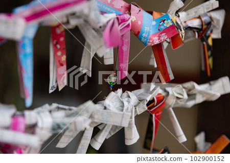 Omikuji tied at the bill office at Tomioka Hachimangu Shrine Omikuji tied at the bill office at Tomioka Hachimangu Shrine 102900152