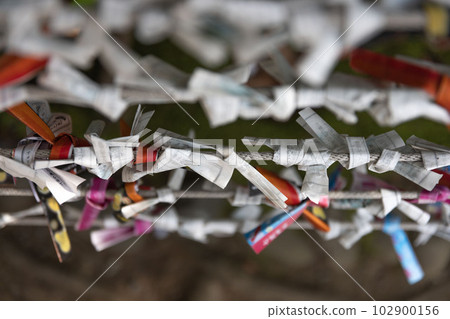Omikuji tied at the bill office at Tomioka Hachimangu Shrine Omikuji tied at the bill office at Tomioka Hachimangu Shrine 102900156
