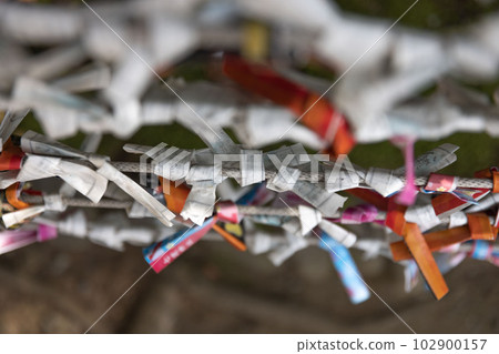 Omikuji 在 Tomioka Hachimangu Shrine 的票據處綁起來 Omikuji 在 Tomioka Hachimangu Shrine 的票據處綁起來 102900157