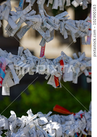 Omikuji tied at the bill office at Tomioka Hachimangu Shrine Omikuji tied at the bill office at Tomioka Hachimangu Shrine 102900163