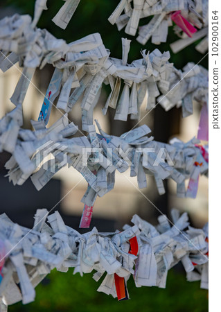 Omikuji tied at the bill office at Tomioka Hachimangu Shrine Omikuji tied at the bill office at Tomioka Hachimangu Shrine 102900164