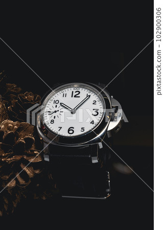 Luxury watch 102900306