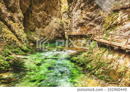 Vintgar gorge, Slovenia 102900440