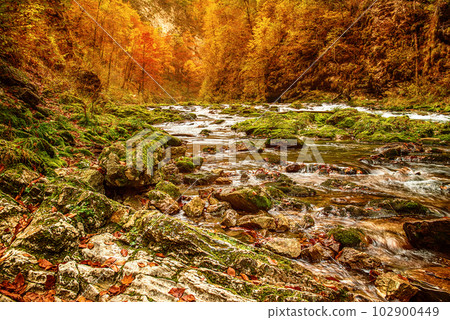 Vintgar gorge, Slovenia 102900449