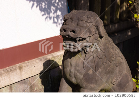 Komainu of Tomioka Hachimangu [Shrine image] 102900585