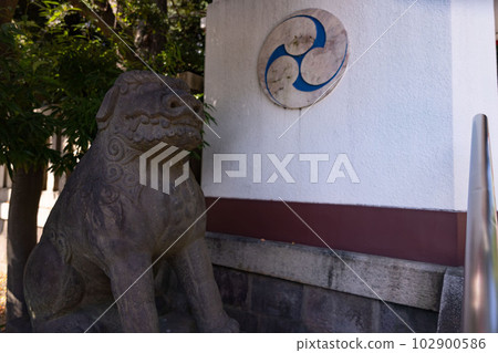 Komainu of Tomioka Hachimangu [Shrine image] 102900586
