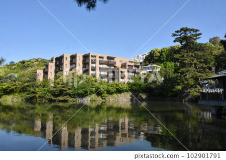 [Kobe City Mikage] Fukada Pond in early summer with beautiful greenery 102901791