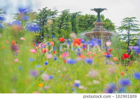 Fresh green Tsurumai Park, fountain tower <Nagoya City, Aichi Prefecture> Fresh green Tsurumai Park, fountain tower <Nagoya City, Aichi Prefecture> 102901809