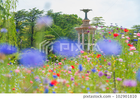 Fresh green Tsurumai Park, fountain tower <Nagoya City, Aichi Prefecture> 102901810