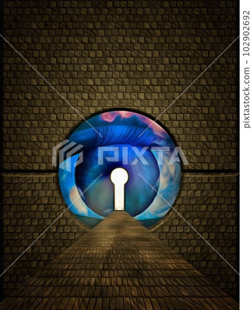 Large Eye Keyhole Large Eye Keyhole 102902692