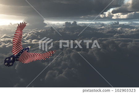 Eagle in US national colors Eagle in US national colors 102903323